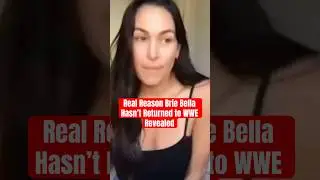 Real Reason Brie Bella Hasn&rsquo;t Returned to WWE Revealed