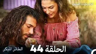مسلسل الطائر المبكر كلاسيكيات الصيف الحلقة 44 (Arabic Dubbed)