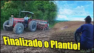 SOLTEI O MASSEY FERGUSON 95X NA RIBANCEIRA E NAO LIGOU! FINALIZAMOS O PLANTIO!
