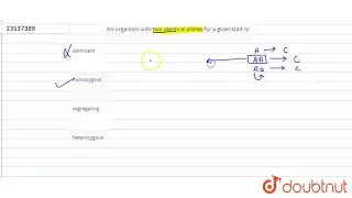 An organism with two identical alleles for a given trait is: