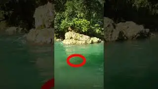 #viralshort #creepyclips