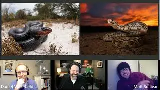 Monday Matchup LIVE - The Great Snake Showdown