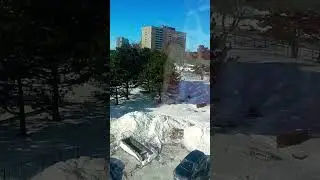 Brampton Ontario Canada #brampton #downtown #canada #snow #snowfall #sidhumoosewala #strathconapark