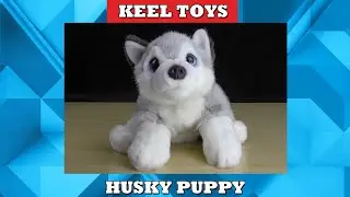 Keel Toys Signature Cuddle Puppies - Husky Puppy Plush Toy [37cm Version] Review