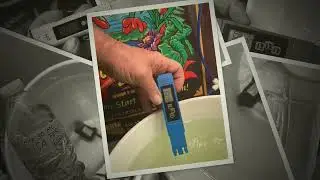 PH Water after Silica & Cal Mag