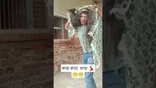 रूपा रूपा रूपा 😁😁💃#ComedyVideo#Indian Comedy#FunnyContent#ComedyCreator#ReelMaker#DailyComedy#Fun