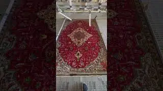 Oriental Rug Cleaning natural #petpeepee #orientalrugs #orientalrug #meirmartin #shorts