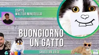 Buongiorno un gatto  -  Ospite Walter Minutella