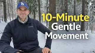 10-Minute Gentle Seated Movement | Low-Impact Daily Stretch & Mobility Workout