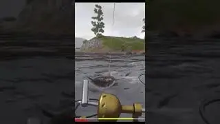 Catching trophy taimen on spinning from a boat. Fishing on spinning RF4 #shorts #gaming #fishing
