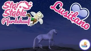 Unterm' Sternhimmel: Pferdekauf [StarStable] MalibuStacy
