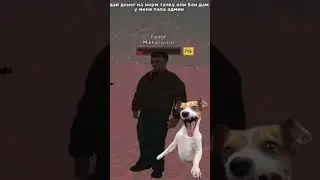 Рыжик Amazing #gta #amazingonline #amazingrp #амазинг_рп #amazingred