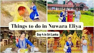 Day 4 in Sri Lanka | Nuwara Eliya City Tour | Seetha Amman Temple, Ramboda Waterfalls & Tea Gardens