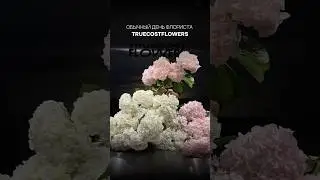 Гортензия - облако, которое так любят наши клиенты ❤️&zwj;🔥#truecostflowers#цветы #букет #флорист