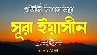 Surah Yaseen (سورة يس) | Peaceful Morning Quran Recitation | Calming & Healing Voice