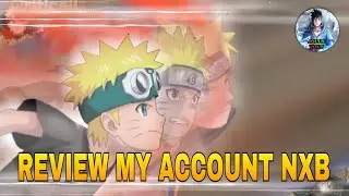 REVIEW MY ACCOUNT NXB NV [NXB NV]