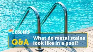 Q&A: What Do Metal Stains Look Like in a Pool? | Leslie's