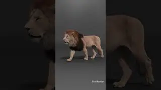 Unleash the King of the Savannah #animal #vfx #lion  #3d  #blender  #models