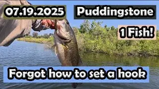 Puddingstone Bass Fishing: 1 fish. Forgot how to fish today.