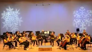NKU String Project Prelude Class Performs 