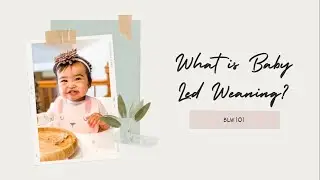 What is BLW?  Answering questions about Baby Led Weaning
