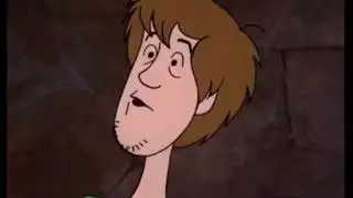 What did shaggy say?!
