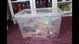 Rescued Dolls: Updates - Adult Toy Collector Video