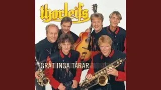 Jag vill säga Ti Amo till dig