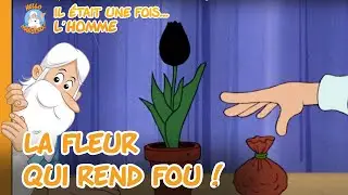 L'âge d'or hollandais | Il était une fois... L'Homme