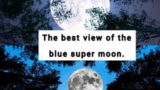The Blue super moon captured worldwide.