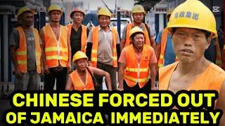 ШОК: ПОЧЕМУ КИТАЙЦЕВ ВЫСЕЛЯЮТ ИЗ ЯМАЙКИ🇯🇲?