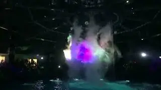 2023年5月　水族館のショーを観たよ　1日目　プリンスホテル品川　1泊2日の旅