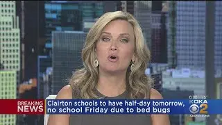 Clairton Schools Closed Friday Due To Bed Bugs