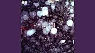 Rain Drops