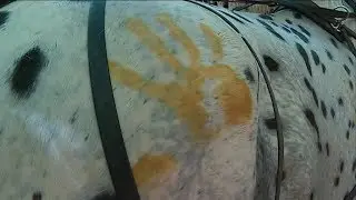 Escapade en cal&egrave;che ou &agrave; cheval dans le Colorado Proven&ccedil;al