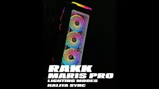 RAKK MARIS PRO LIGHTING MODES AND RAKK HALIYA SYNC