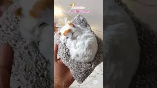 Cute Soft Cat Plush 🐱✨ | Aesthetic Meesho Find You&rsquo;ll Fall in Love With! 😍 #meeshofinds #cutecat