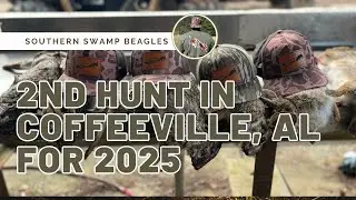 Coffeeville Alabama rabbit hunt #2