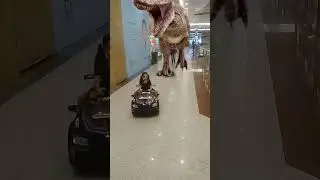 Tiranossauro Rex - mundo dos dinossauros #tiranossauro #dino #dinosaurios #dinosaurios