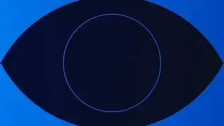 Wolf Entertainment/CBS Studios/Universal Television (2020-2021)