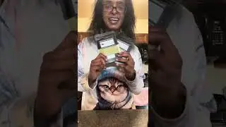 Unboxing kratom from 4 vendors