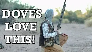 The Best Opening Dove Day