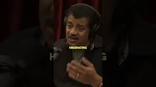 Absence of Evidence isn't Evidence of Absence 🤔 w/ Neil deGrasse Tyson
