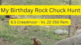 .22-250 Rem. vs 6.5 Creedmoor | My 70th Birthday Rock Chuck Hunt. 100 -  300 Yards.