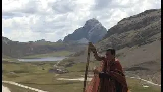 ARPA CUSQUEÑA - MAURO FLORES