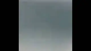 squid fart