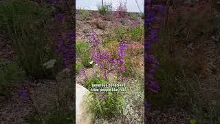 The Garden is more than a beautiful place...