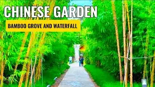 BAMBOO GROVE AND WATERFALL | CHINESE GARDEN