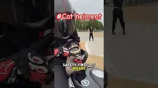 Funny Cat riding motorcycle with helment#cat #funny #funnycats #cats #catlover #catshorts