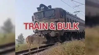 TRAIN & BULK#train#bulk